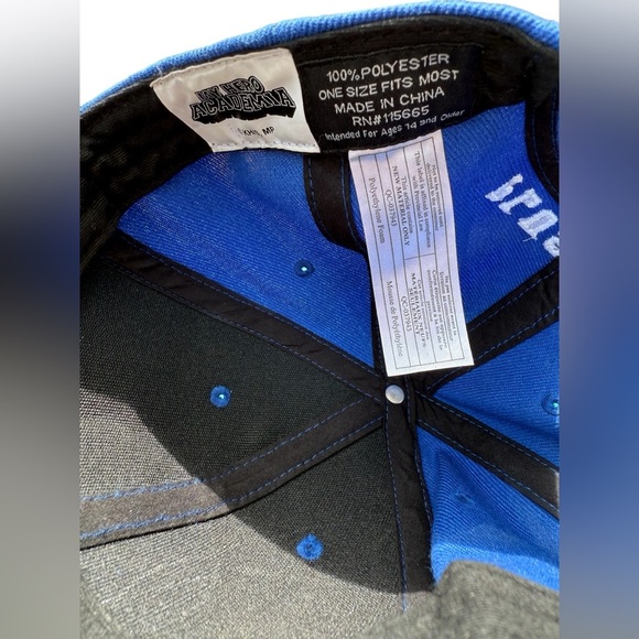 My Hero Academia Snapback Hat, Plus Ultra, Mha Manga Underbill Anime character - Picture 8 of 10